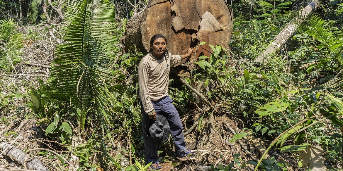 Nieuw bewijs voor moedwillige vernietiging van de Braziliaanse Amazone